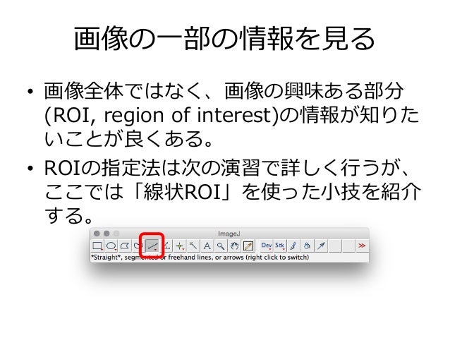 Imagejを使った画像解析実習 2値化 領域抽出