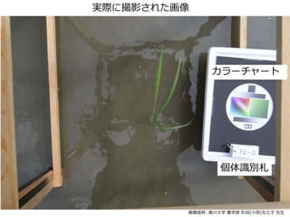 gH˴Ӱ줿
``
Re
ṩ: 㴨ѧ rѧ ɼ(С) 
 