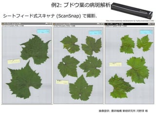 2: ֥ɥ~β߽
`ȥե`ʽ (ScanSnap) ǴӰ
ṩ: rЙC о Ұ 
http://www.scansnap.net/escaneres-by-fujitsu/scansnap/s1100/
 