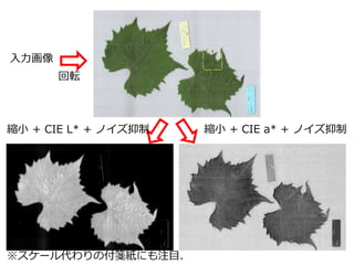 `θ{ˤעĿ
ܞ
sС + CIE L* + Υ sС + CIE a* + Υ

 