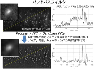 Хɥѥե륿
Process > FFT > Bandpass Filter...
Τ褽δ󤭤Ȥˏ{I
Υ`ǥ󥰤Ӱ푤Ƥ룮
΢СܤΥץ饹
xȥץե(λɫ)
 