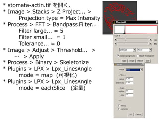 * stomata-actin.tif _
* Image > Stacks > Z Project... >
Projection type = Max Intensity
* Process > FFT > Bandpass Filter...
Filter large... = 5
Filter small... = 1
Tolerance... = 0
* Image > Adjust > Threshold... >
 > Apply
* Process > Binary > Skeletonize
* Plugins > LPX > Lpx_LinesAngle
mode = map (ҕ)
* Plugins > LPX > Lpx_LinesAngle
mode = eachSlice ()
 