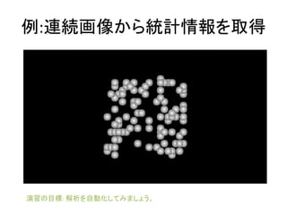 例:連続画像から統計情報を取得
演習の目標: 解析を自動化してみましょう。
 