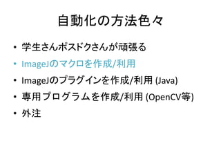 自動化の方法色々
• 学生さんポスドクさんが頑張る
• ImageJのマクロを作成/利用
• ImageJのプラグインを作成/利用 (Java)
• 専用プログラムを作成/利用 (OpenCV等)
• 外注
 