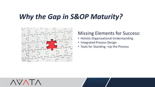 Why the Gap in S&OP Maturity?
Missing Elements for Success:
• Holistic Organizational Understanding
• Integrated Process Design
• Tools for Standing –Up the Process
 