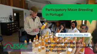 Participatory Maize Breeding
in Portugal
Pedro Mendes Moreira, PhD
International meeting 2015
at the Emmaus Village of Lescar-Pau
25th September
 