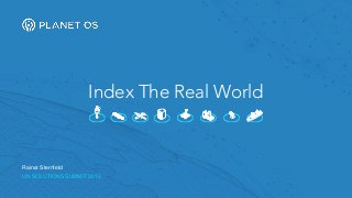 Index The Real World
UN SOLUTIONS SUMMIT 2015
Rainer Sternfeld
 