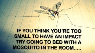 IF YOU THINK YOU’RE TOO
SMALL TO HAVE AN IMPACT
TRY GOING TO BED WITH A
MOSQUITO IN THE ROOM.....
 