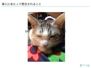 導入にあたって懸念されること
ややこしい話も出ましたので
小休止
 