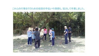 これらの行事を行うための伐採の手伝いや清掃も、協力して作業しました。
 
