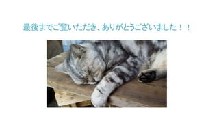 最後までご覧いただき、ありがとうございました！！
 