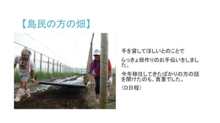 【島民の方の畑】
手を貸してほしいとのことで
らっきょ畑作りのお手伝いをしまし
た。
今年移住してきたばかりの方の話
を聞けたのも、貴重でした。
（Ｄ日程）
 