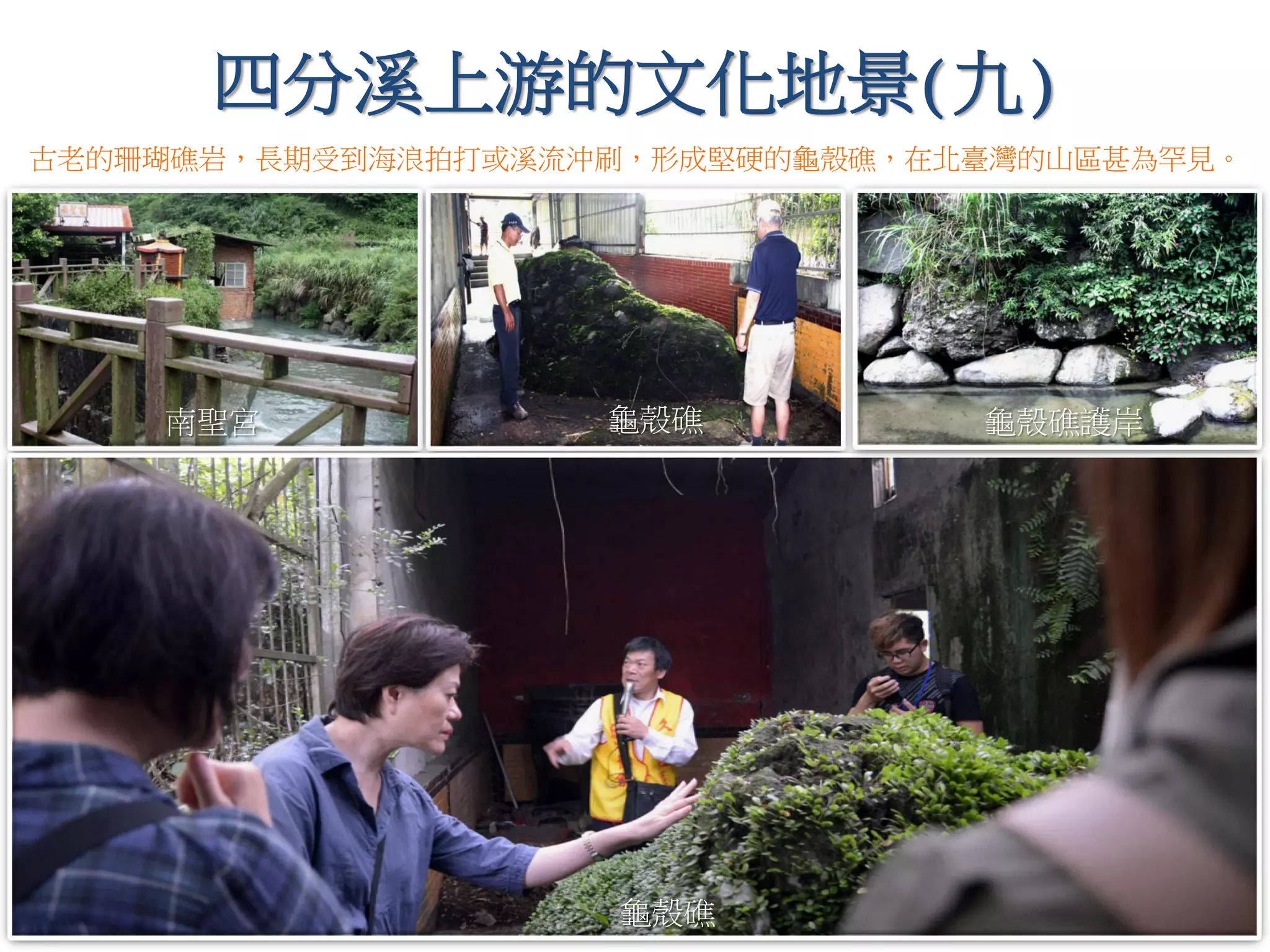 四分溪上游的文化地景(九)
南聖宮 龜殼礁 龜殼礁護岸
古老的珊瑚礁岩，長期受到海浪拍打或溪流沖刷，形成堅硬的龜殼礁，在北臺灣的山區甚為罕見。
龜殼礁
 