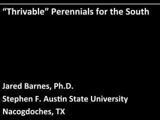 “Thrivable”	
  Perennials	
  for	
  the	
  South	
  
Jared	
  Barnes,	
  Ph.D.	
  	
  	
  
Stephen	
  F.	
  Aus>n	
  State	
  University	
  	
  
Nacogdoches,	
  TX	
  
 
