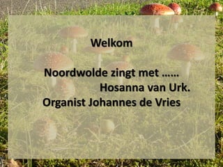 Welkom
Noordwolde zingt met ……
Hosanna van Urk.
Organist Johannes de Vries
 