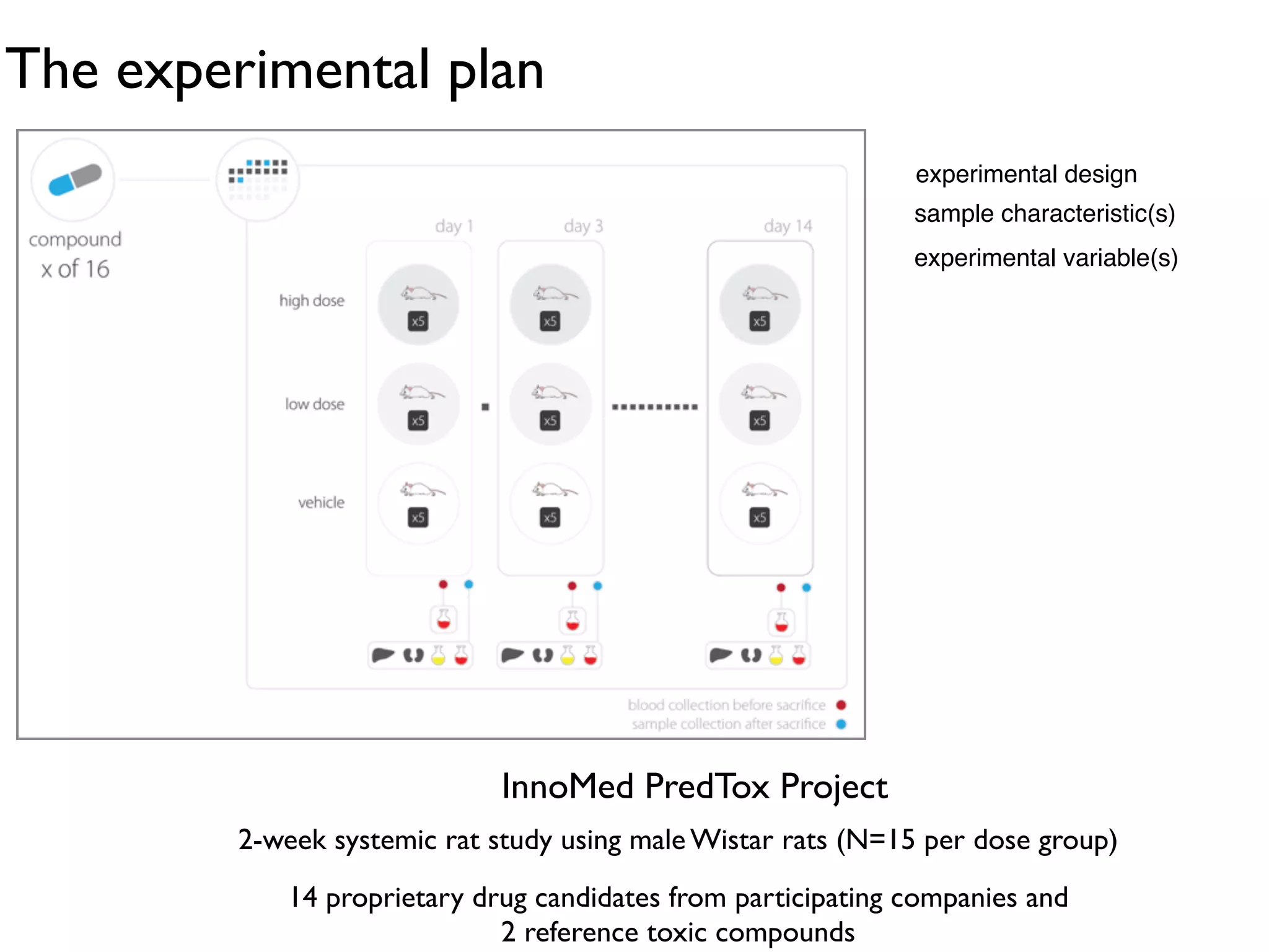 The experimental plan
experimental design!
sample characteristic(s)!
experimental variable(s)!
2-week systemic rat study using male Wistar rats (N=15 per dose group)
14 proprietary drug candidates from participating companies and
2 reference toxic compounds
InnoMed PredTox Project
 