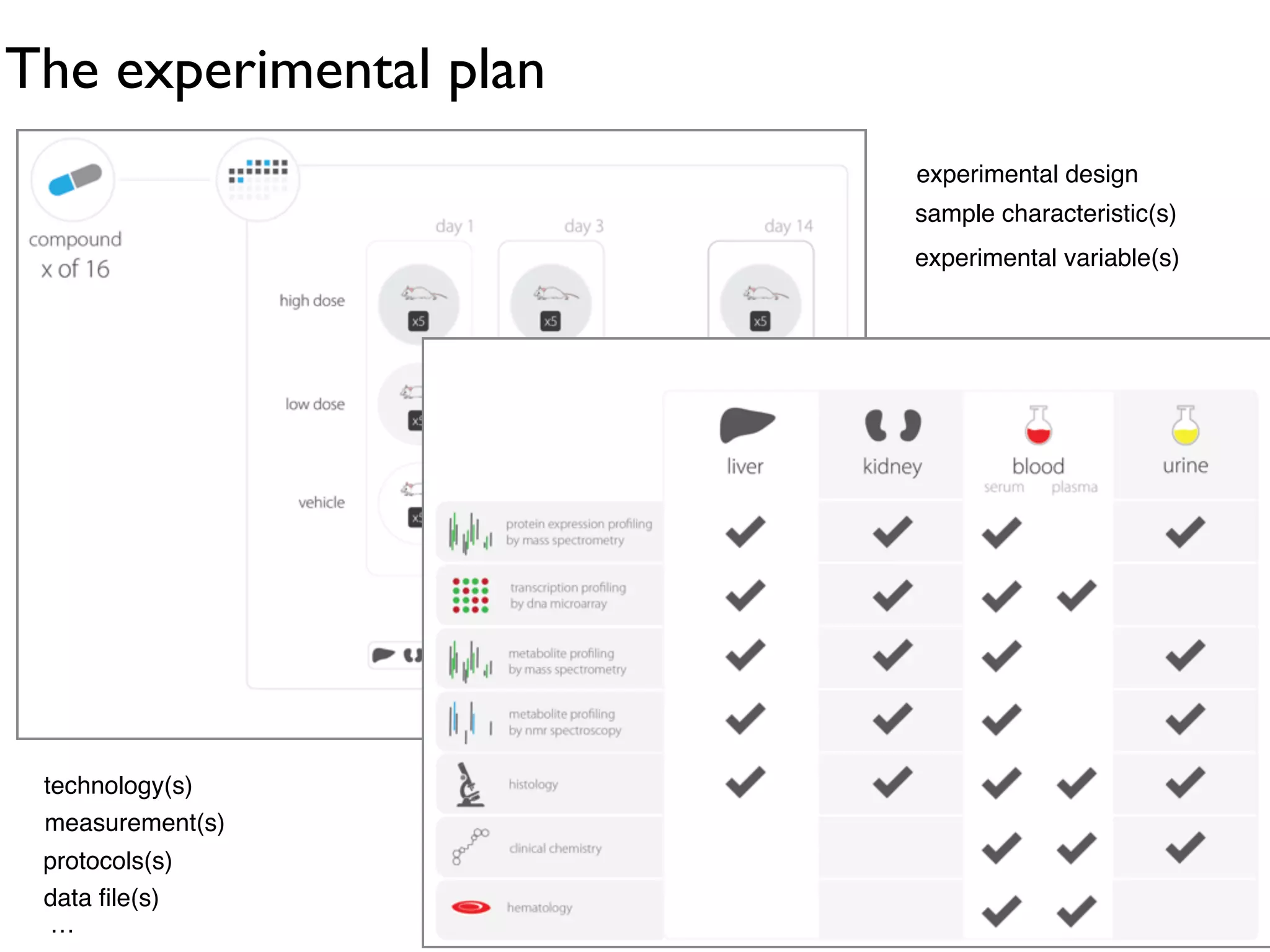 The experimental plan
experimental design!
sample characteristic(s)!
experimental variable(s)!
technology(s)!
measurement(s)!
protocols(s)!
data ﬁle(s)!
…!
 