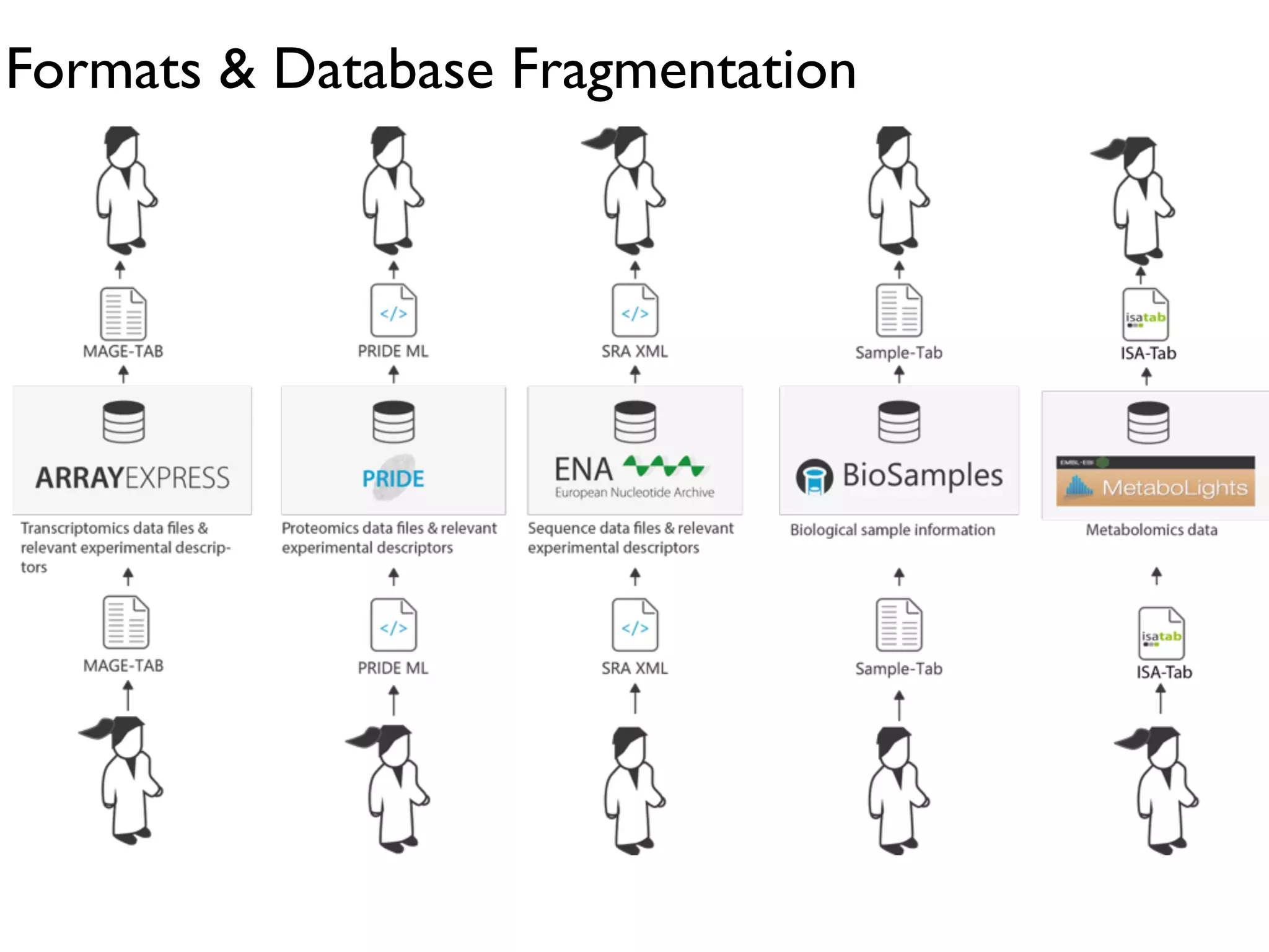 Formats & Database Fragmentation
 