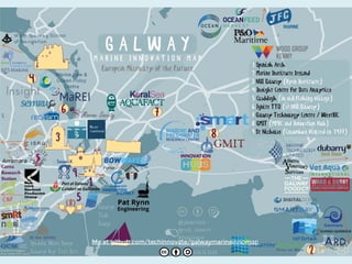 Growing Galway's Startup Community