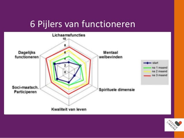 20151020 positieve gezondheid met video