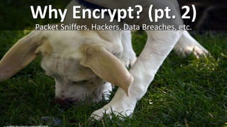 Why Encrypt? (pt. 2)
Packet Sniffers, Hackers, Data Breaches, etc.
cc: swong95765 - https://www.flickr.com/photos/29487672@N07
 