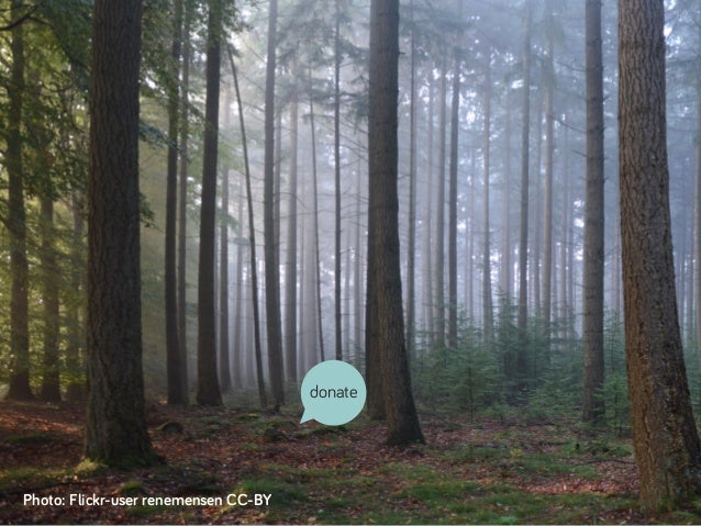 DONATE
NOW
blablablablablablablablablablabla
blablablablablablablablablablabla
blablablablablablablablablablabla
blablabla...