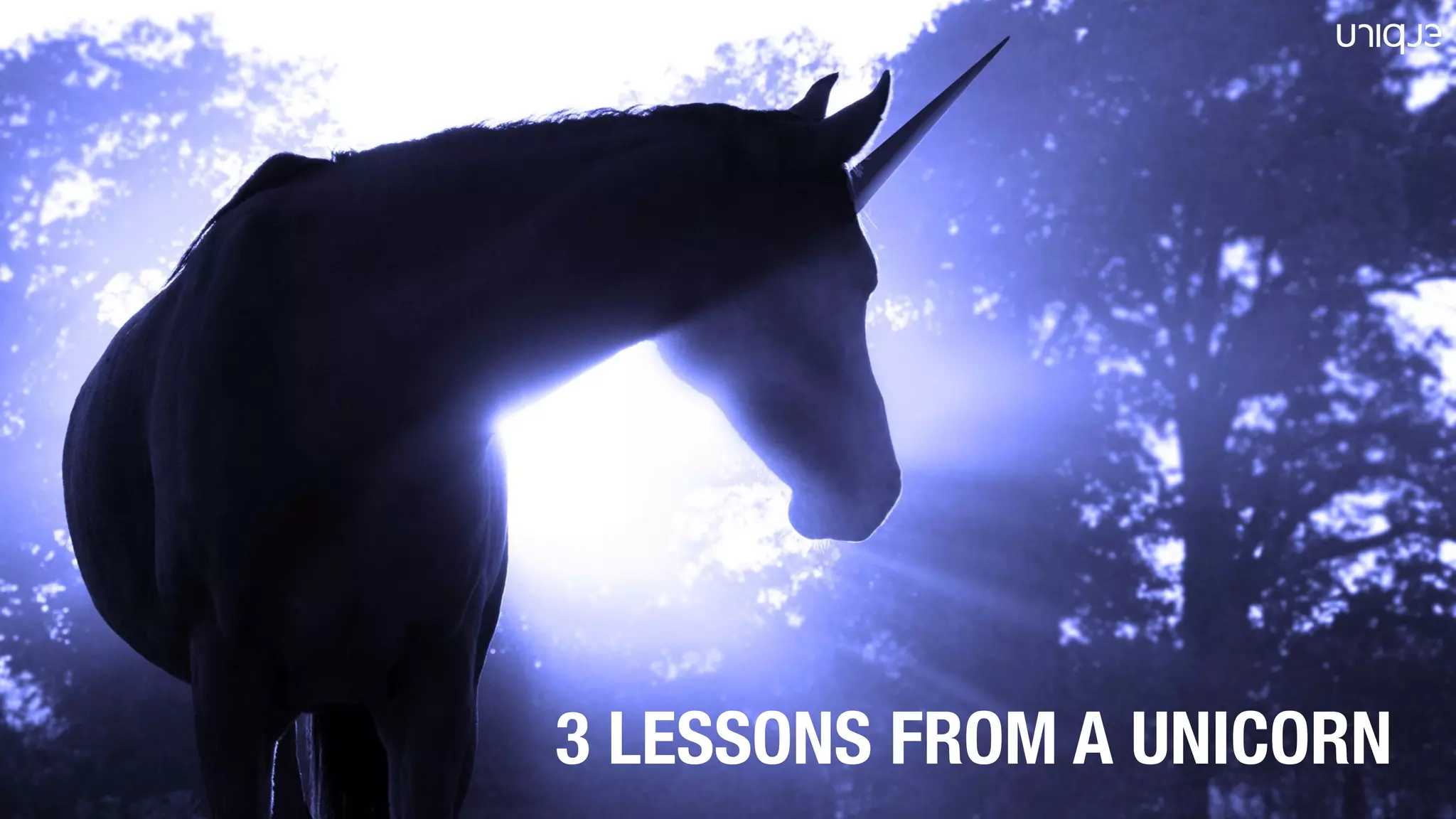 3 LESSONS FROM A UNICORN
 