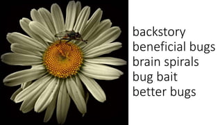 backstory
beneficial bugs
brain spirals
bug bait
better bugs
 