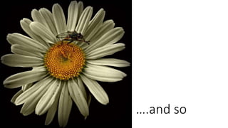 ….and so
 