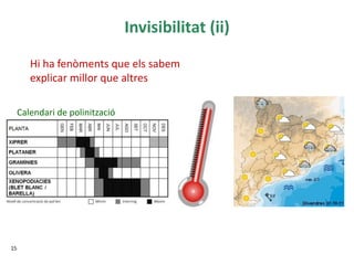 Invisibilitat (ii)
15
Hi ha fenòments que els sabem
explicar millor que altres
Calendari de polinització
 