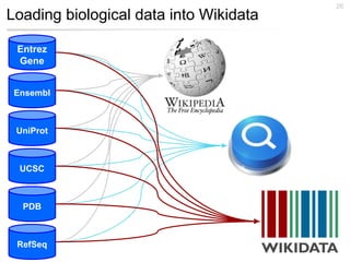 Loading biological data into Wikidata
26
Entrez
Gene
Ensembl
UniProt
UCSC
PDB
RefSeq
 