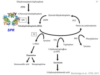 57
Bainbridge et al., STM, 2011
SPR
 