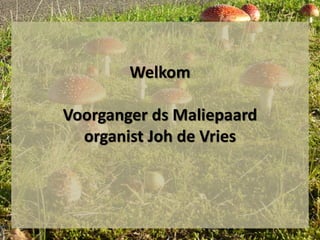 Welkom
Voorganger ds Maliepaard
organist Joh de Vries
 