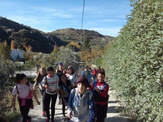 2015 11 16 Cahorros 1ºESO A