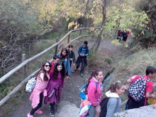 2015 11 16 Cahorros 1ºESO A