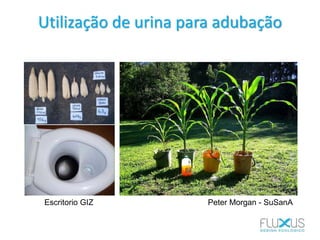 Utilização de urina para adubação
Peter Morgan - SuSanAEscritorio GIZ
 
