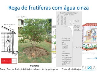 Rega de frutíferas com água cinza
frutíferas
Fonte: Oasis DesignFonte: Guia de Sustentabilidade em Meios de Hospedagem
 
