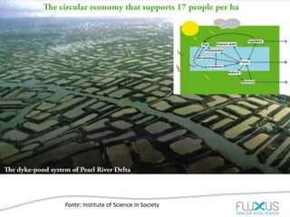 Fonte: Institute of Science in Society
 