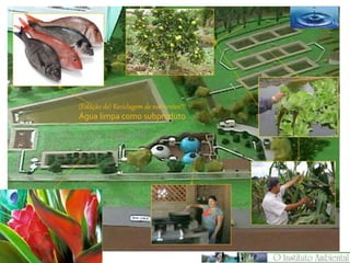 (Estação de) Reciclagem de nutrientes!!!
Água limpa como subproduto
 