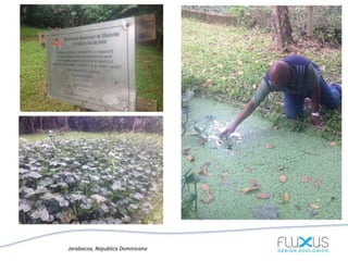 Jarabacoa, Republica Dominicana
 