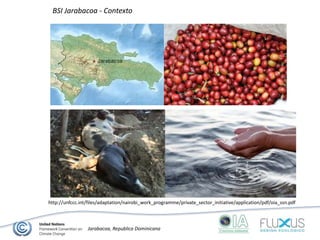 ...
Jarabacoa, Republica Dominicana
http://unfccc.int/files/adaptation/nairobi_work_programme/private_sector_initiative/application/pdf/oia_ssn.pdf
BSI Jarabacoa - Contexto
 