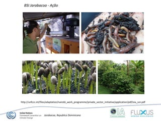 ...
Jarabacoa, Republica Dominicana
http://unfccc.int/files/adaptation/nairobi_work_programme/private_sector_initiative/application/pdf/oia_ssn.pdf
BSI Jarabacoa - Ação
 