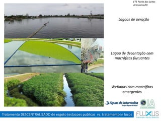 ETE Ponte dos Leites
Araruama/RJ
Lagoas de aeração
Lagoa de decantação com
macrófitas flutuantes
Wetlands com macrófitas
emergentes
Tratamento DESCENTRALIZADO de esgoto (estacoes publicas vs. tratamento in loco)
 