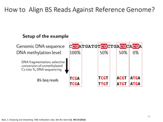 DNA Methylation Data Analysis | PDF