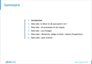 © 4
SOMMAIRESommaire
1. Introduction
2. Data lake: le décor et de quoi parle-t-on ?
3. Data lake : les promesses et les risques
4. Data lake : cas d’usages
5. Data Lake : démarche, pièges à éviter, retours d’expérience
6. Data Lake : pour avancer
 