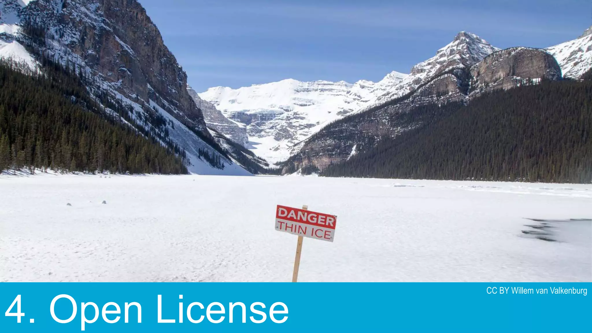 194. Open License
CC BY Willem van Valkenburg
 