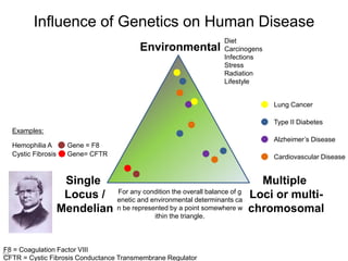 2008 HMG Genome-based prediction of common diseases- advances and prospects55
 