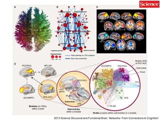 2013 Science Structural and Functional Brain Networks- From Connections to Cognition
 