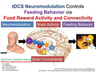 Green Lines: orexigenic pathways
Red lines: dopaminergic pathways
2013 The contribution of brain reward circuits to the obesity epidemic
2014 Obesity – A neuropsychological disease- Systematic review and neuropsychological mode
A, amygdala;
H, hypothalamus;
NA, nucleus accumbens,
PFC, prefrontal cortex;
VTA, ventral tegmental area
143
tDCS Neuromodulation Controls
Feeding Behavior via
Food Reward Activity and Connectivity
Neuromodulation Brain Activity Feeding Behavior
Brain Connectivity
 