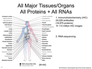 All Major Tissues/Organs
All Proteins + All RNAs
2015 Science Tissue-based map of the human proteome
1. Immunohistochemistry (IHC)
24,028 antibodies
(16,975 proteins)
 >13 million IHC images
2. RNA-sequencing
(N=44)
18
 